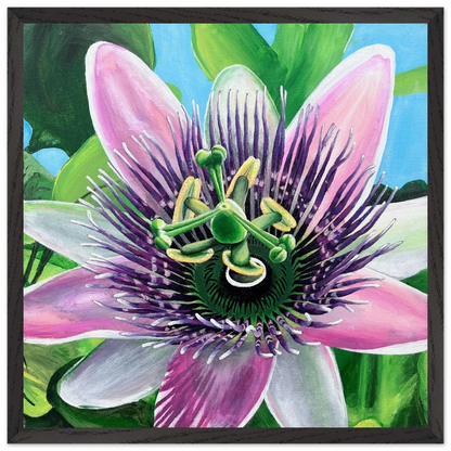 Passion - Gallery of Grace
